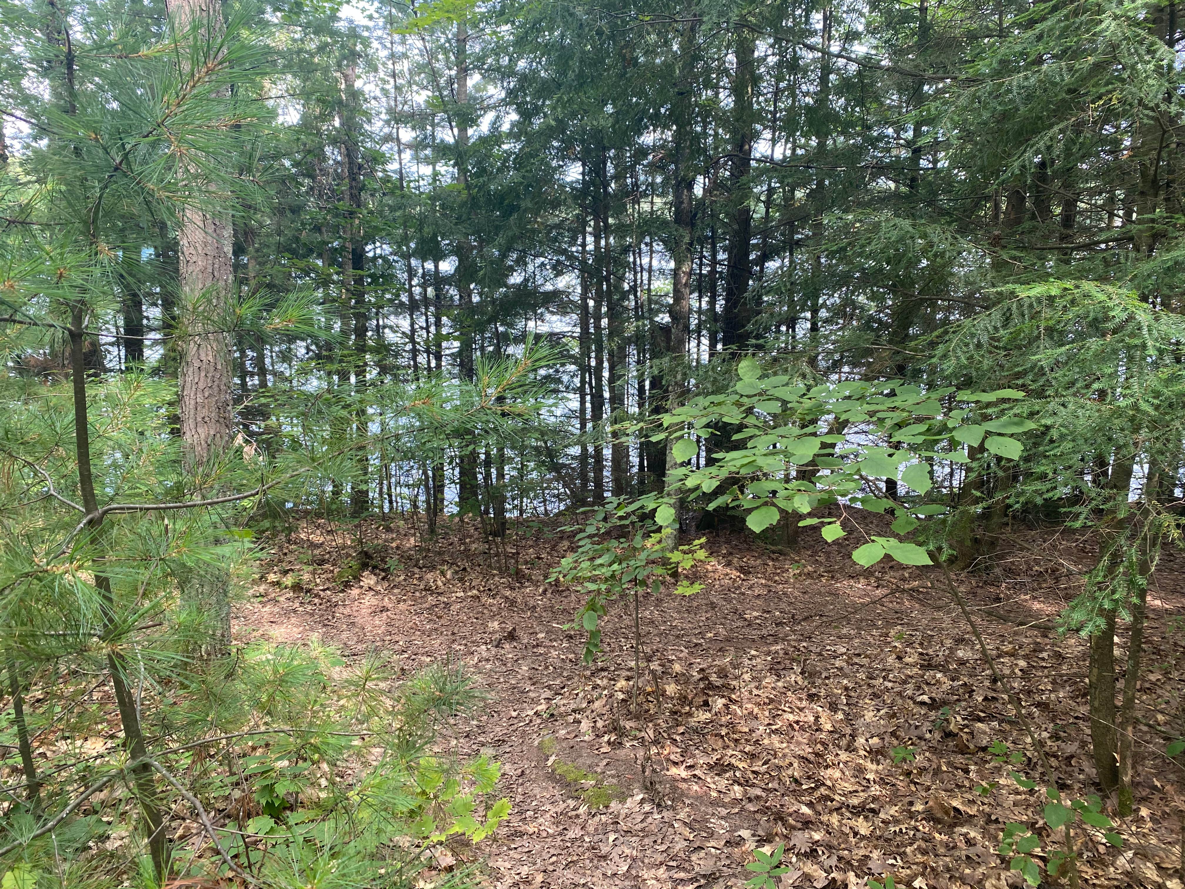 Camper-submitted photo at Clear Lake Campground — Northern Highland State Forest near Westboro, WI