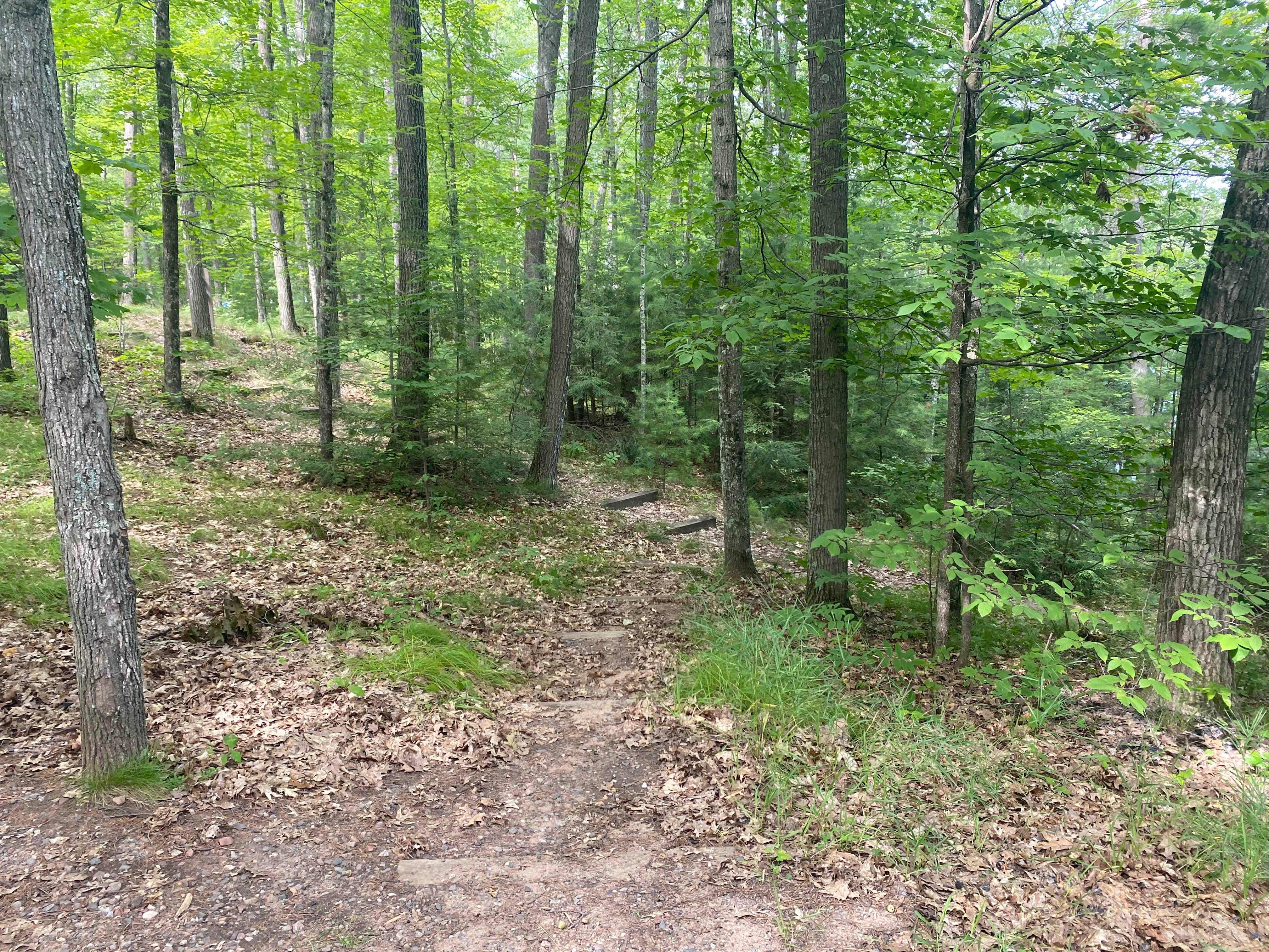 Camper-submitted photo at Clear Lake Campground — Northern Highland State Forest near Westboro, WI
