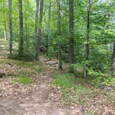 Review photo of Clear Lake Campground — Northern Highland State Forest by Stacey N., August 18, 2022