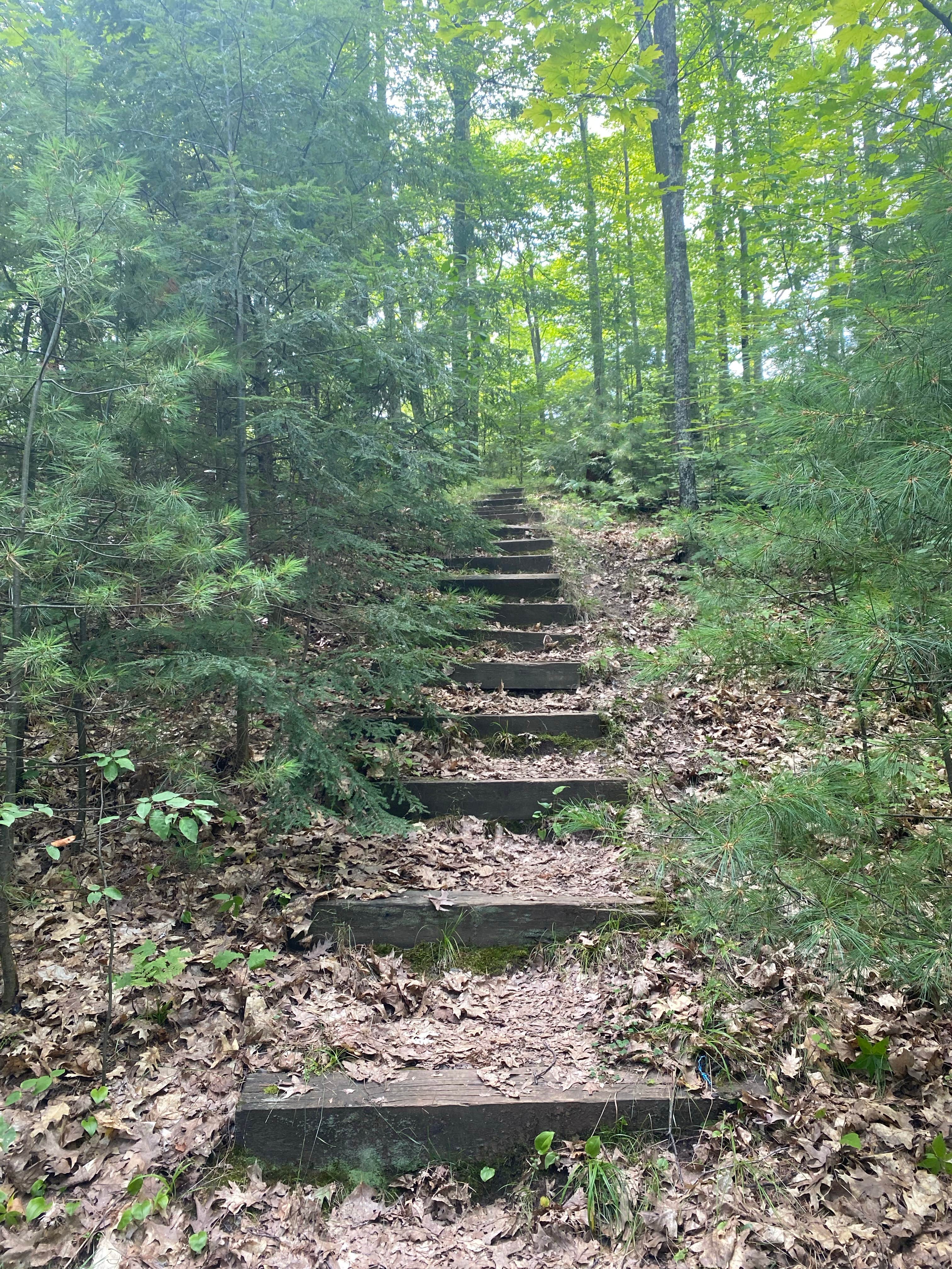 Camper-submitted photo at Clear Lake Campground — Northern Highland State Forest near Westboro, WI