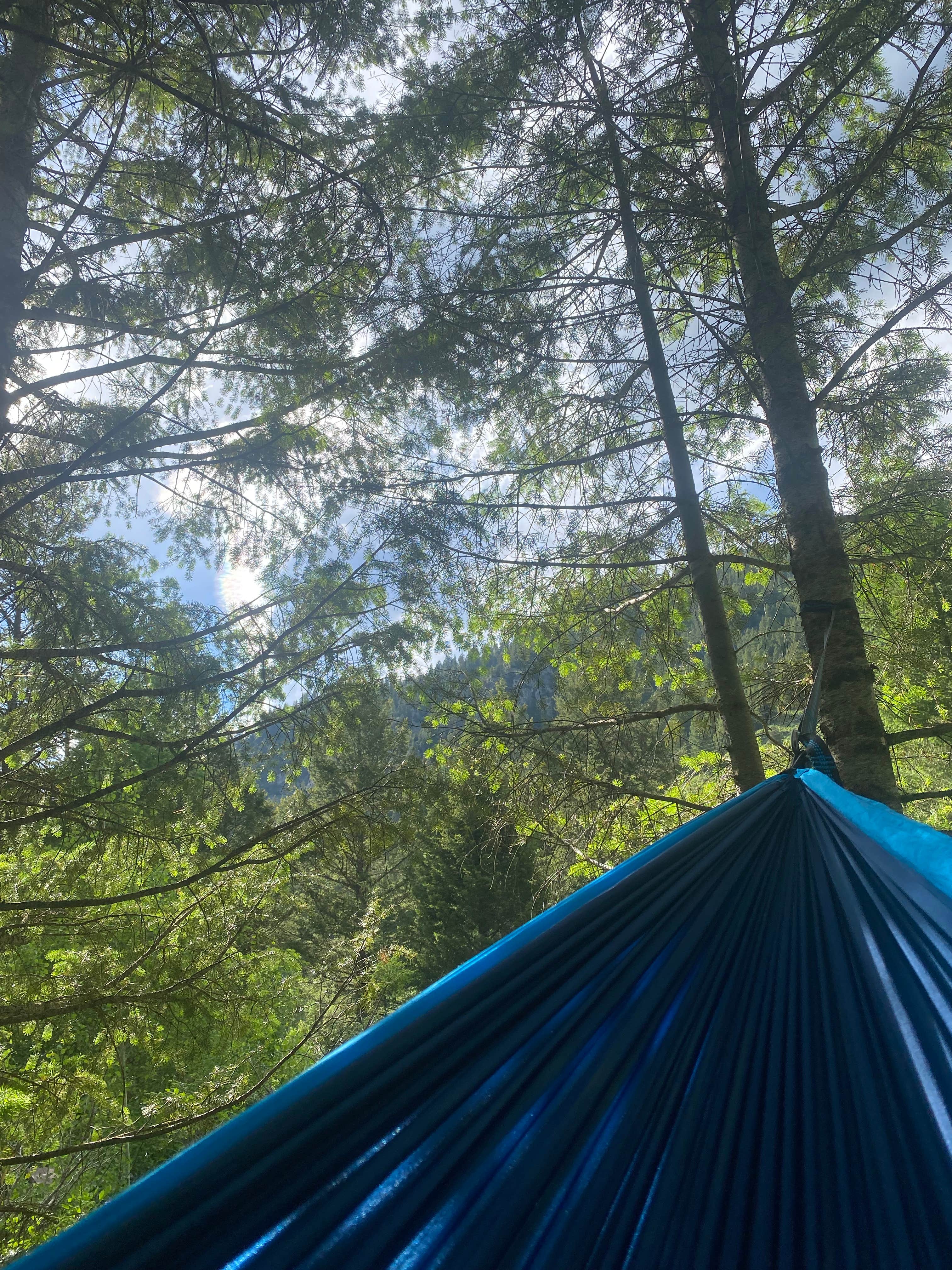 Camper submitted image from Wolf Creek Campground - 4
