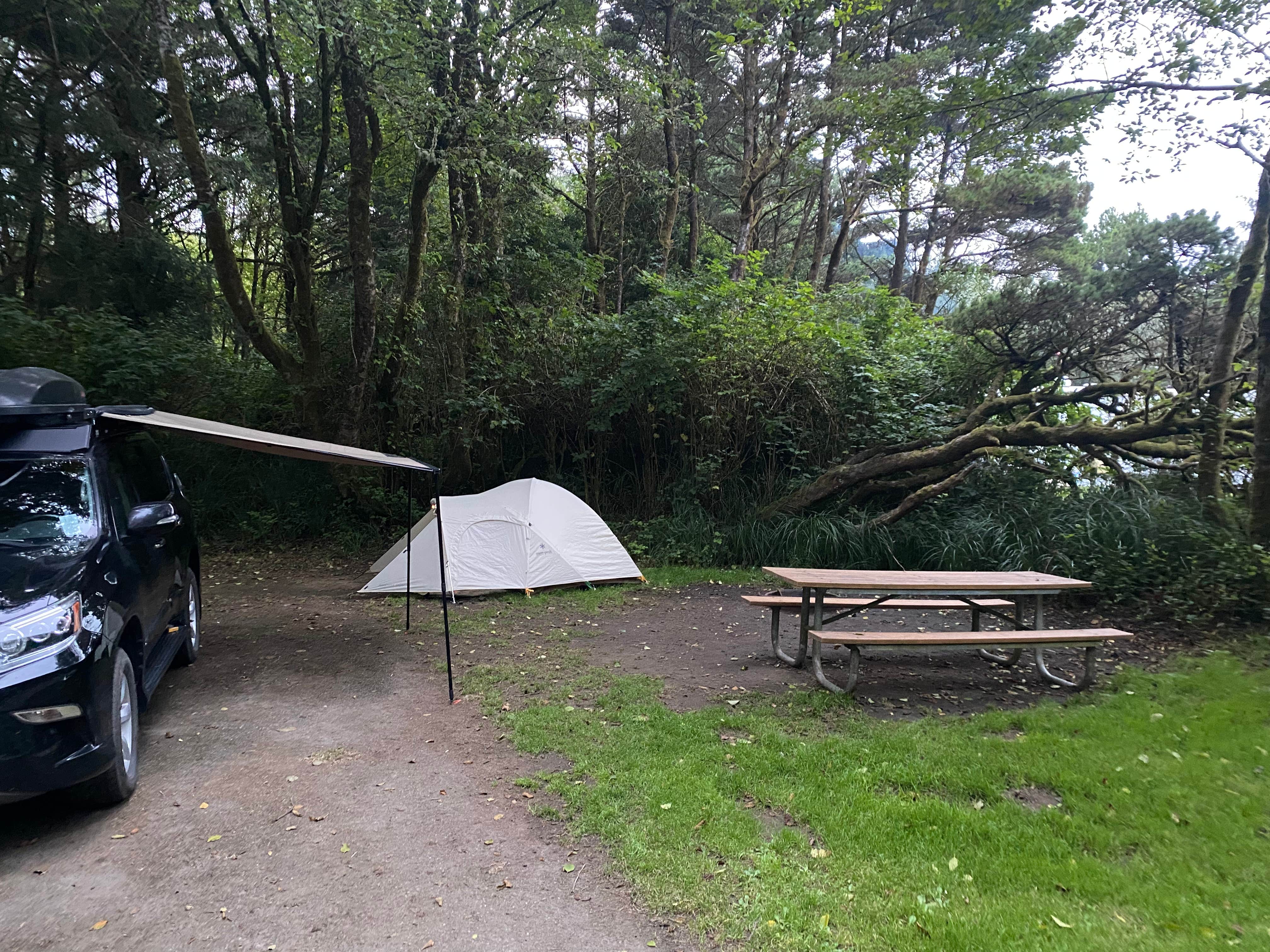 Lauren M.'s photo at Ocean City State Park Campground near Pacific Beach, WA