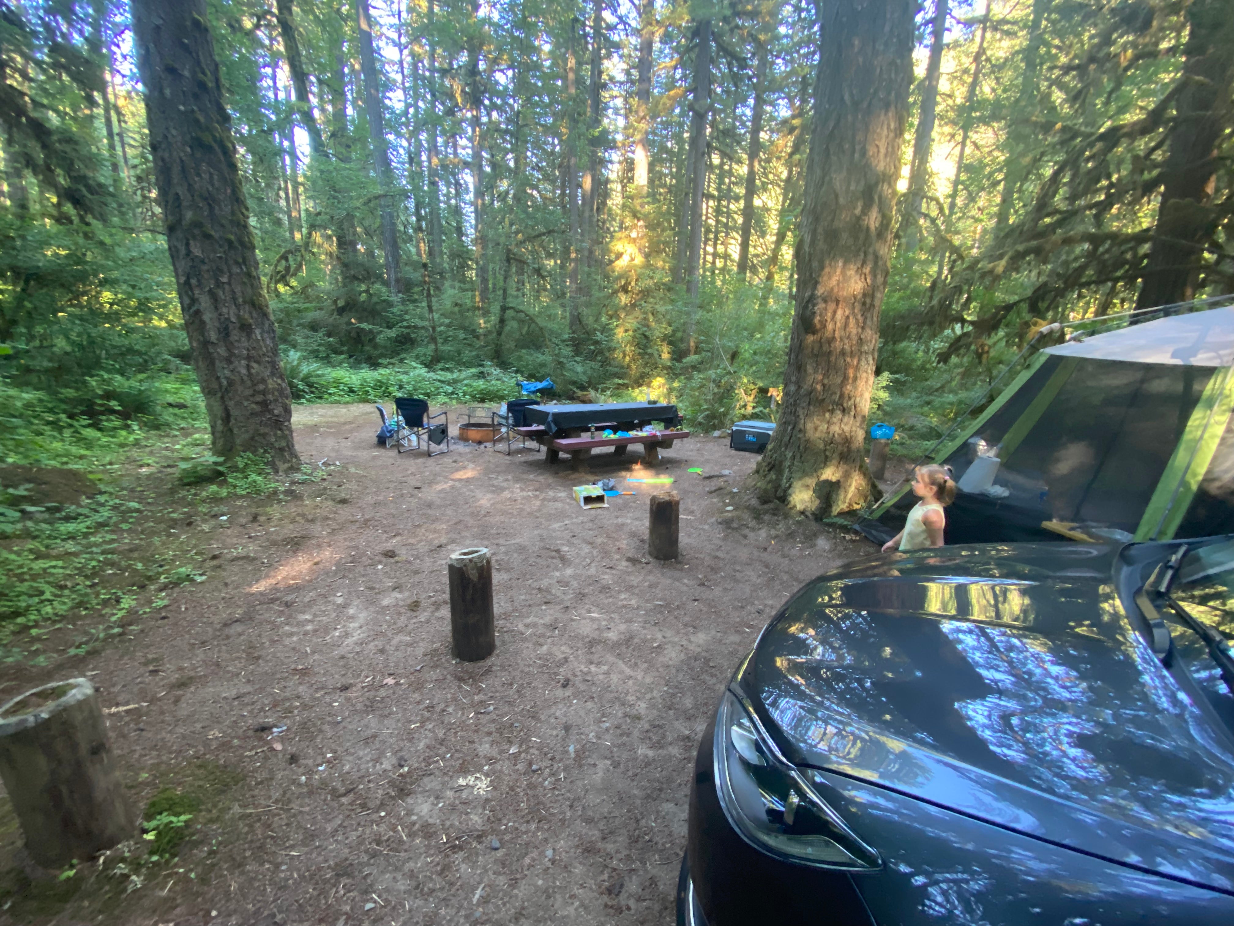 Camper submitted image from Trout Creek - 2