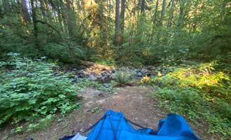 Camping near Koosah Falls: Trout Creek, Camp Sherman, Oregon