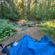 Trout Creek