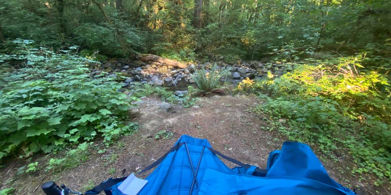 Camper submitted image from Trout Creek