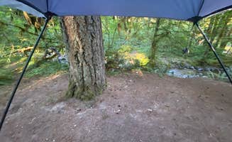 Caitlyn P.'s photo at Trout Creek in Oregon