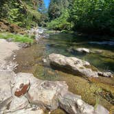 Review photo of Trout Creek by Caitlyn P., August 18, 2022