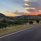Review photo of Cottonwood Campground — Theodore Roosevelt National Park by Kevin O., August 18, 2022