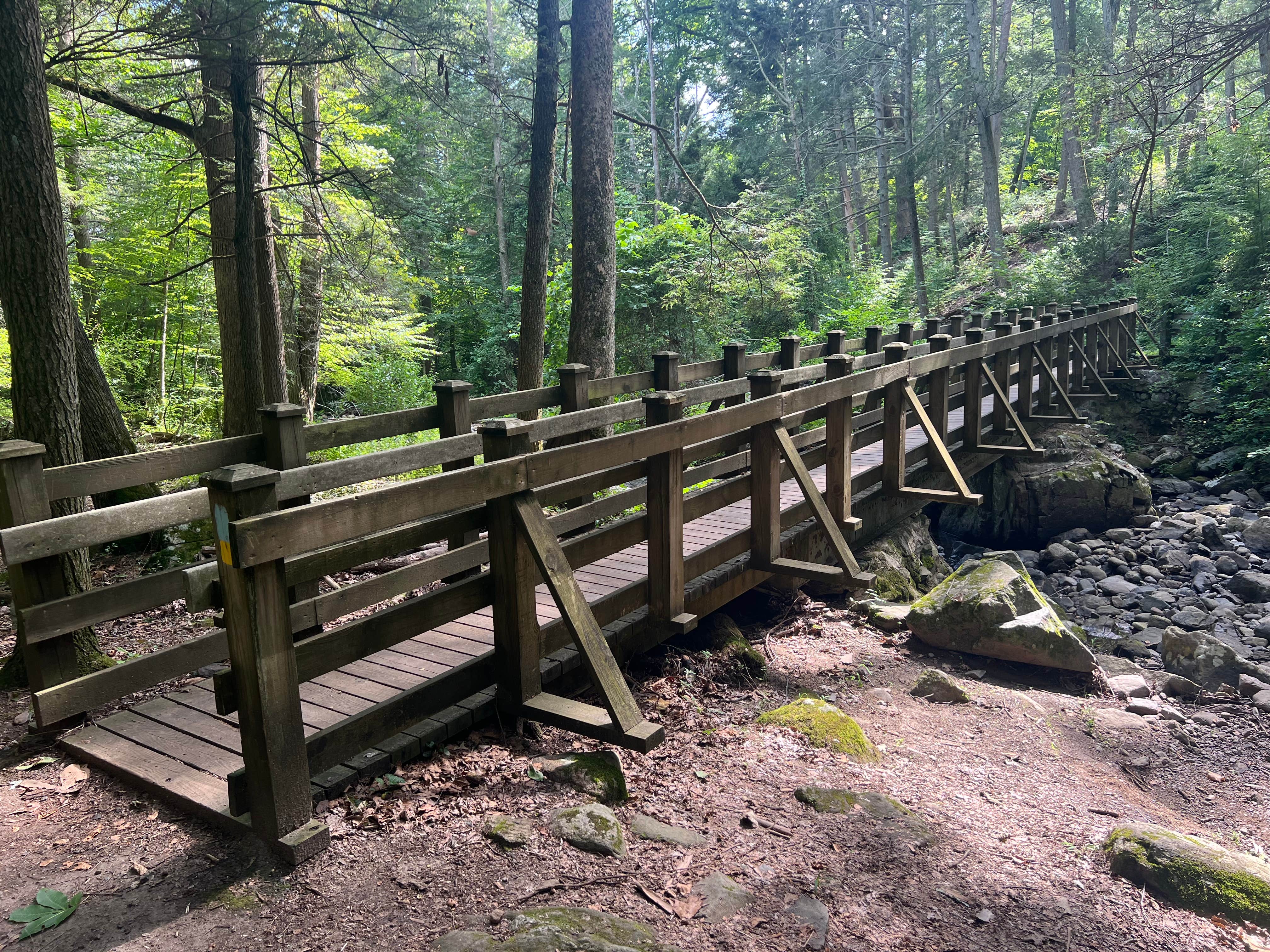 Camper submitted image from Kettletown State Park Campground - 4