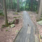 Boardwalk on the hiking trail
