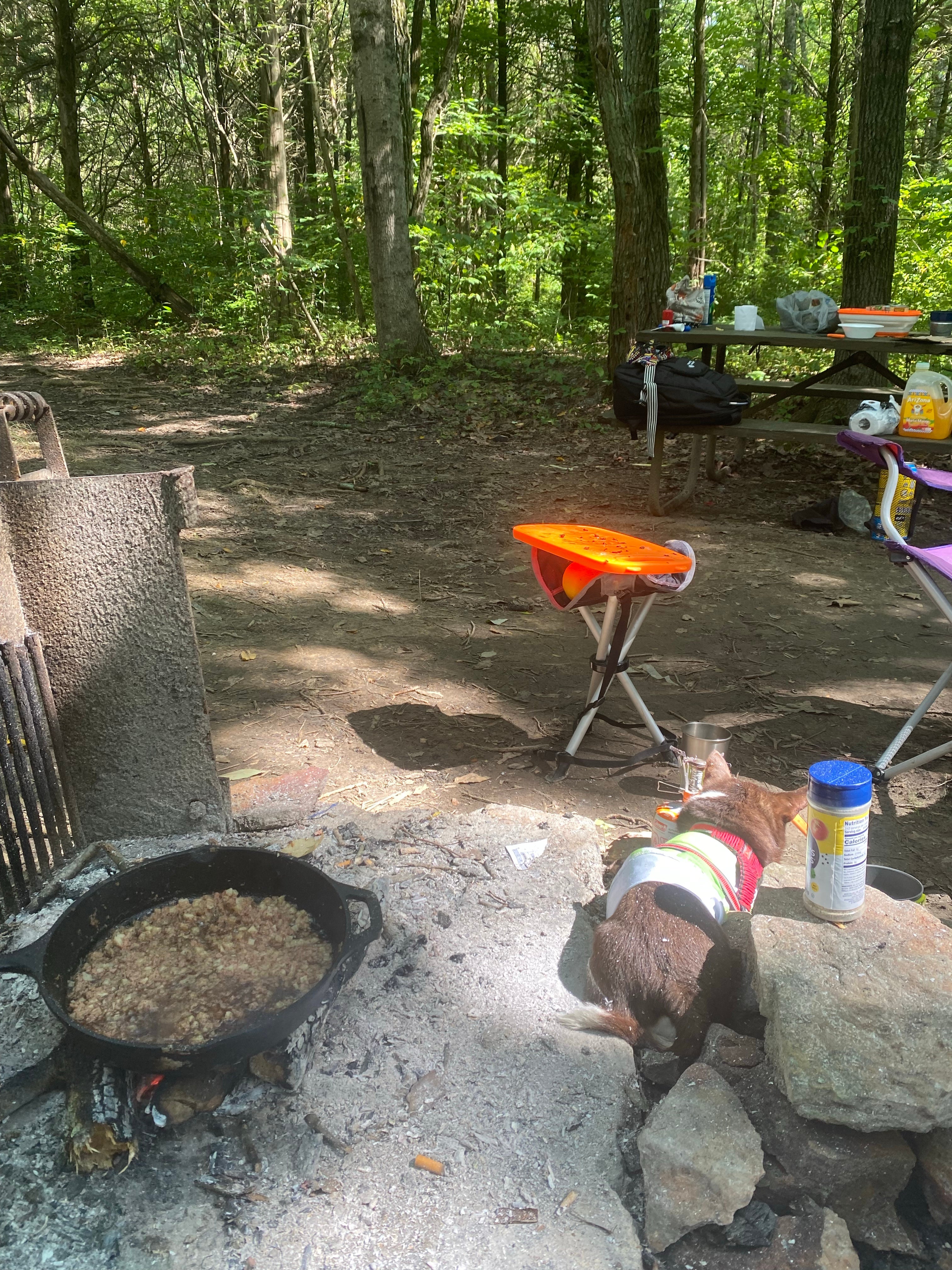 Camper submitted image from Deer Ridge Campground — Ferne Clyffe State Park - 4