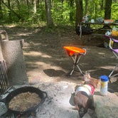 Review photo of Deer Ridge Campground — Ferne Clyffe State Park by Gabi , August 18, 2022