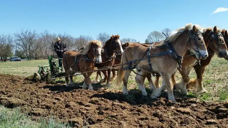 Camper-submitted photo at Western Maine Foothills near Peru, ME