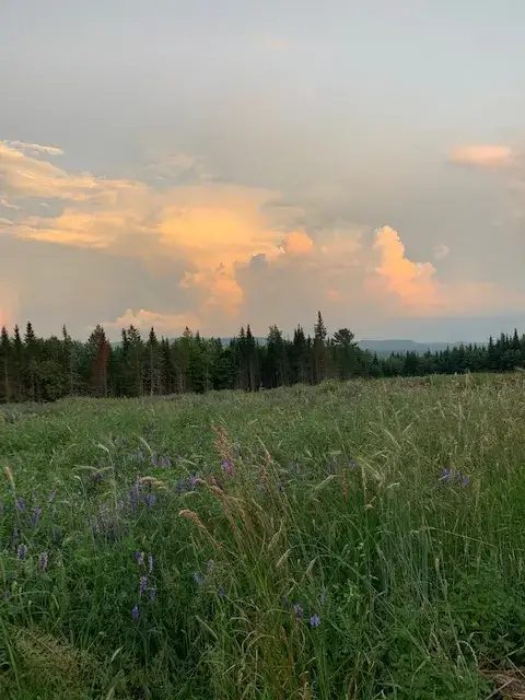 Camping near Tree Corners Family Campground: Thornhill Farm, Greensboro Bend, Vermont