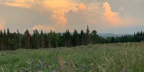 Camper submitted image from Thornhill Farm