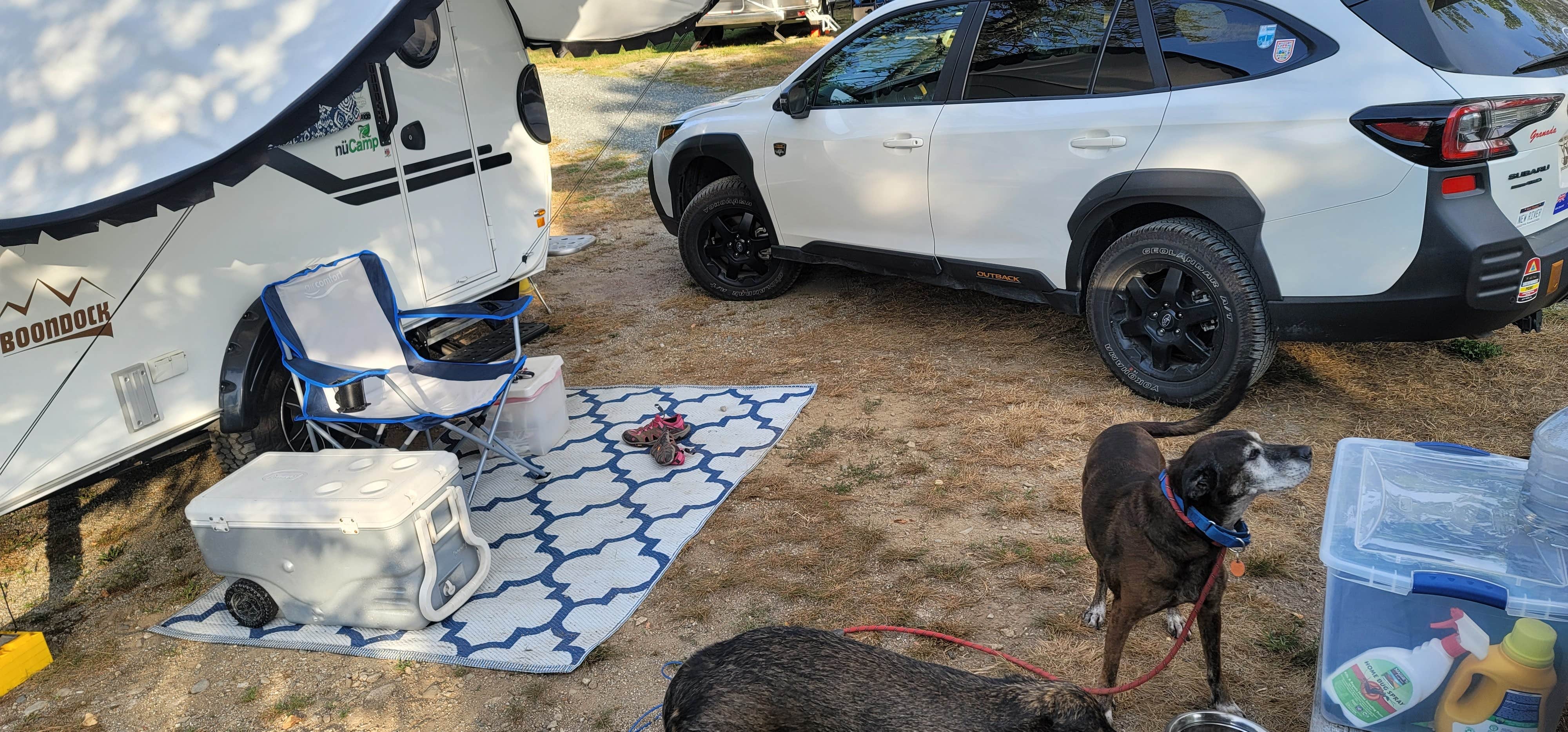 Camper-submitted photo at Oceanfront Camping @ Reach Knolls near Blue Hill, ME