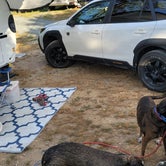 Review photo of Oceanfront Camping @ Reach Knolls by Amy G., August 18, 2022