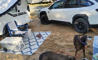 Amy G.'s photo of camping with pets at Oceanfront Camping @ Reach Knolls near Owls Head, ME