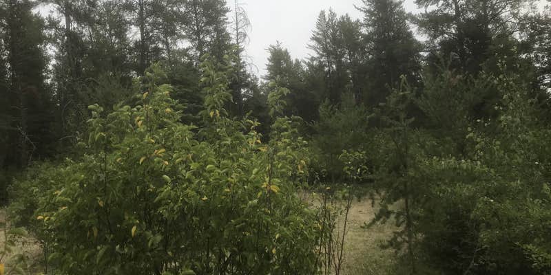 Camper submitted image from Evening lane nw