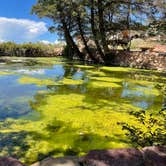 Review photo of Kaibab Paiute RV Park by Samantha H., August 19, 2022