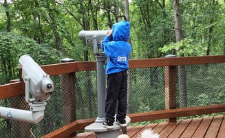 Laura B.'s photo of camping with pets at Sugarloaf Campground — Waterloo Recreation Area near Gregory, MI