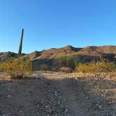 Review photo of Skyline Regional Park by echo , June 2, 2022