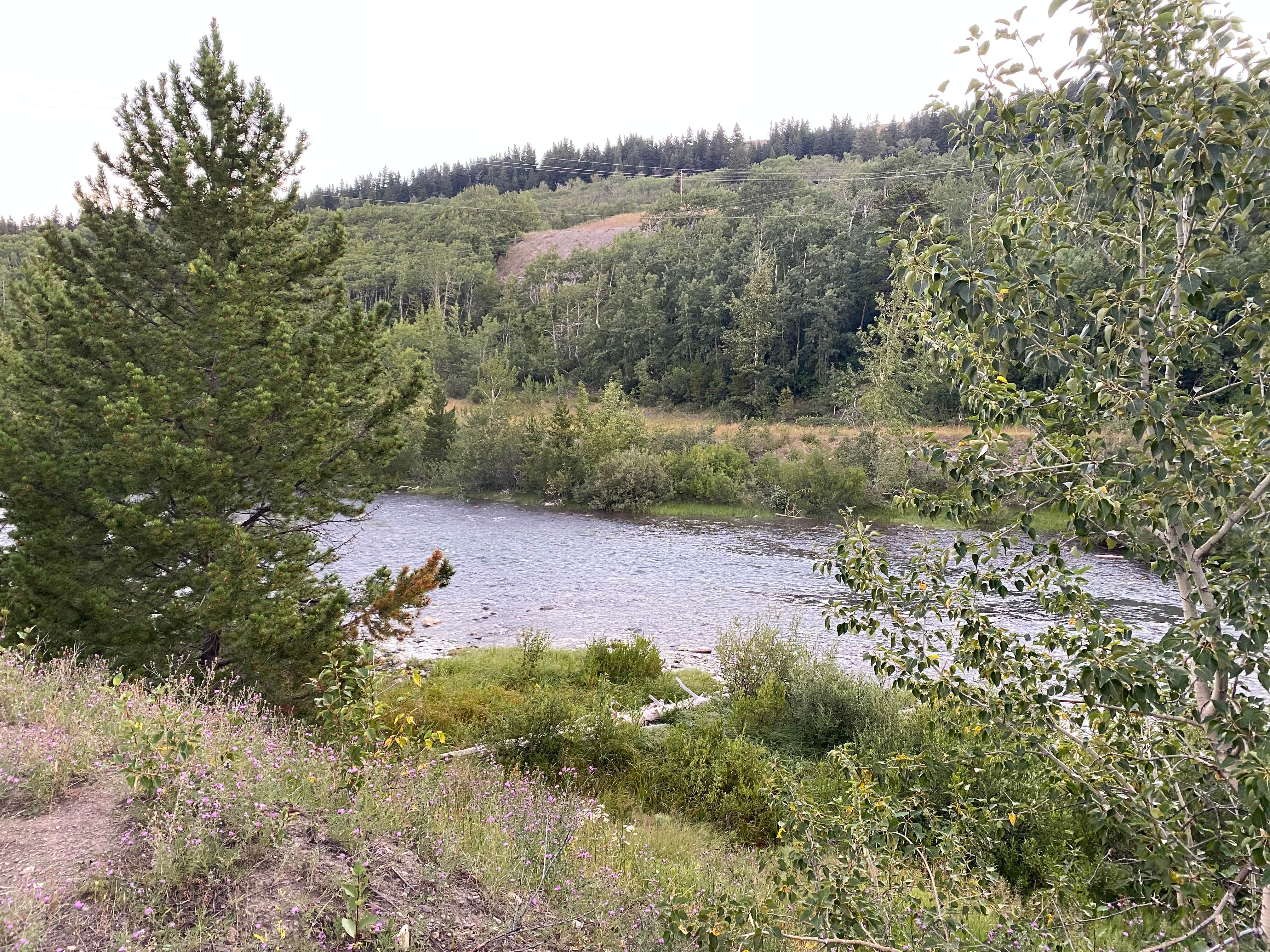 Camper-submitted photo at Red Eagle Campground near Cut Bank, MT