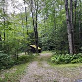 Review photo of Gifford Woods State Park Campground by Justin P., August 19, 2022