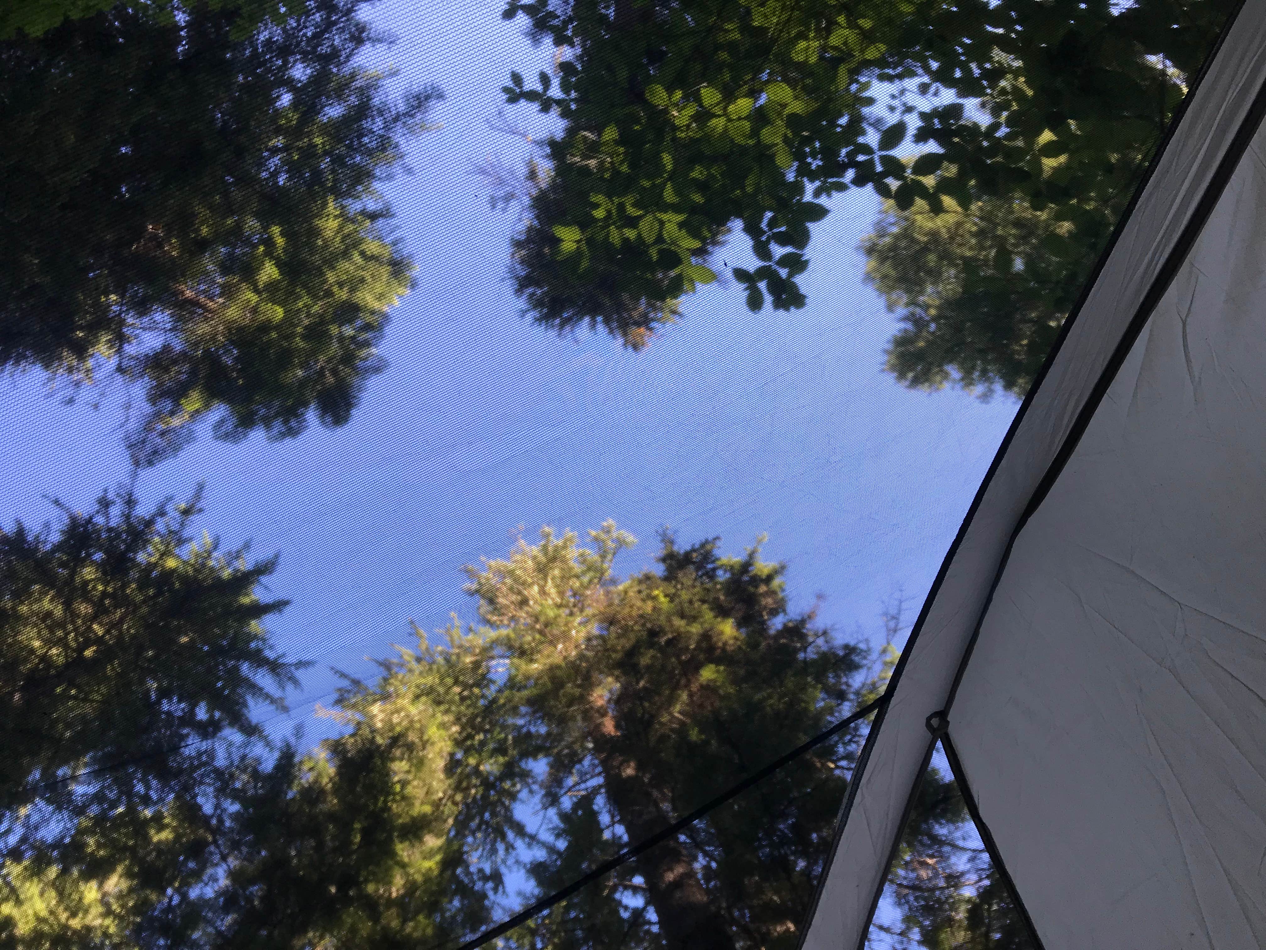 Chantelle M.'s photo at Union Creek Campground near Malheur National Forest