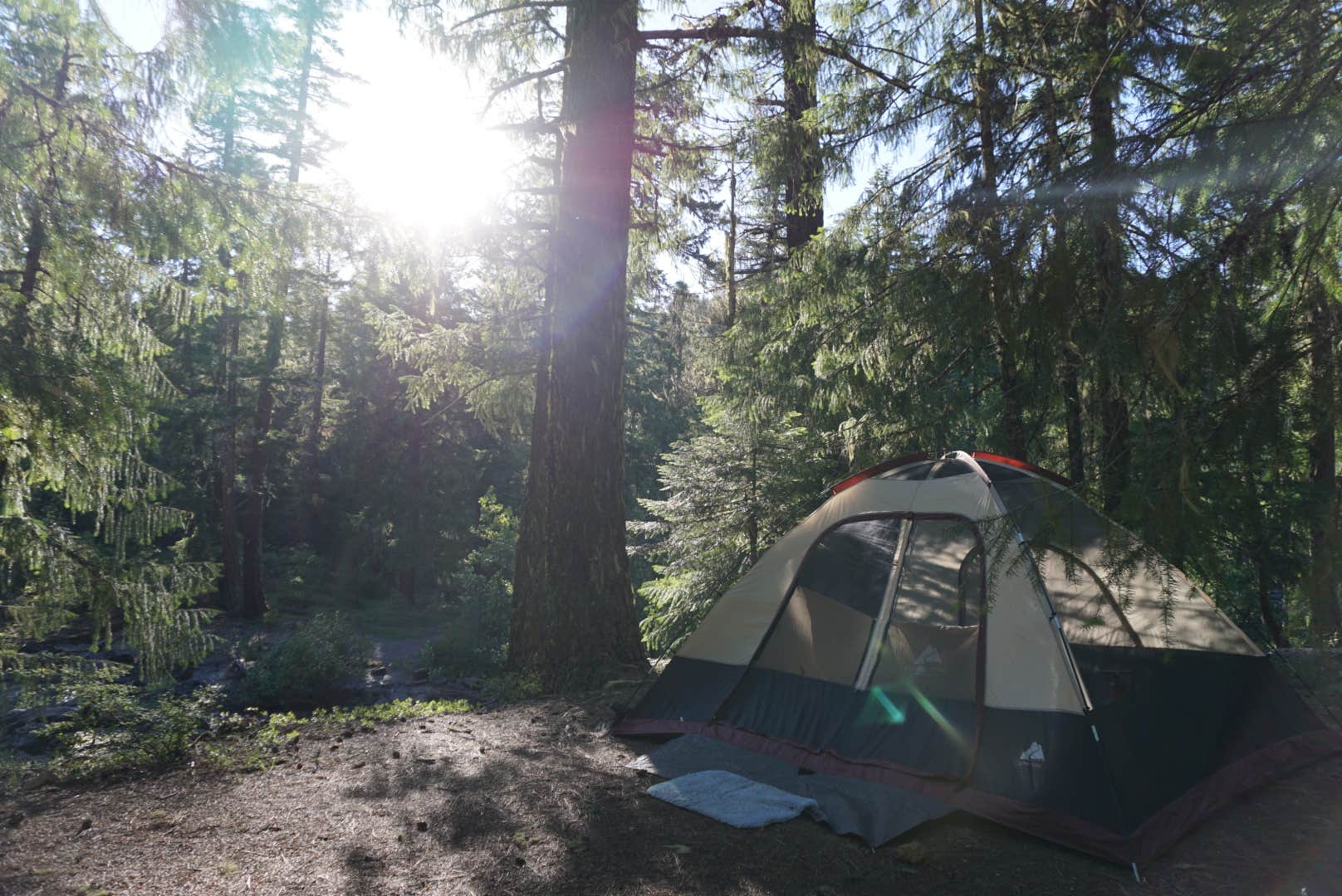 Chantelle M.'s photo at Farewell Bend Campground near Prospect, OR