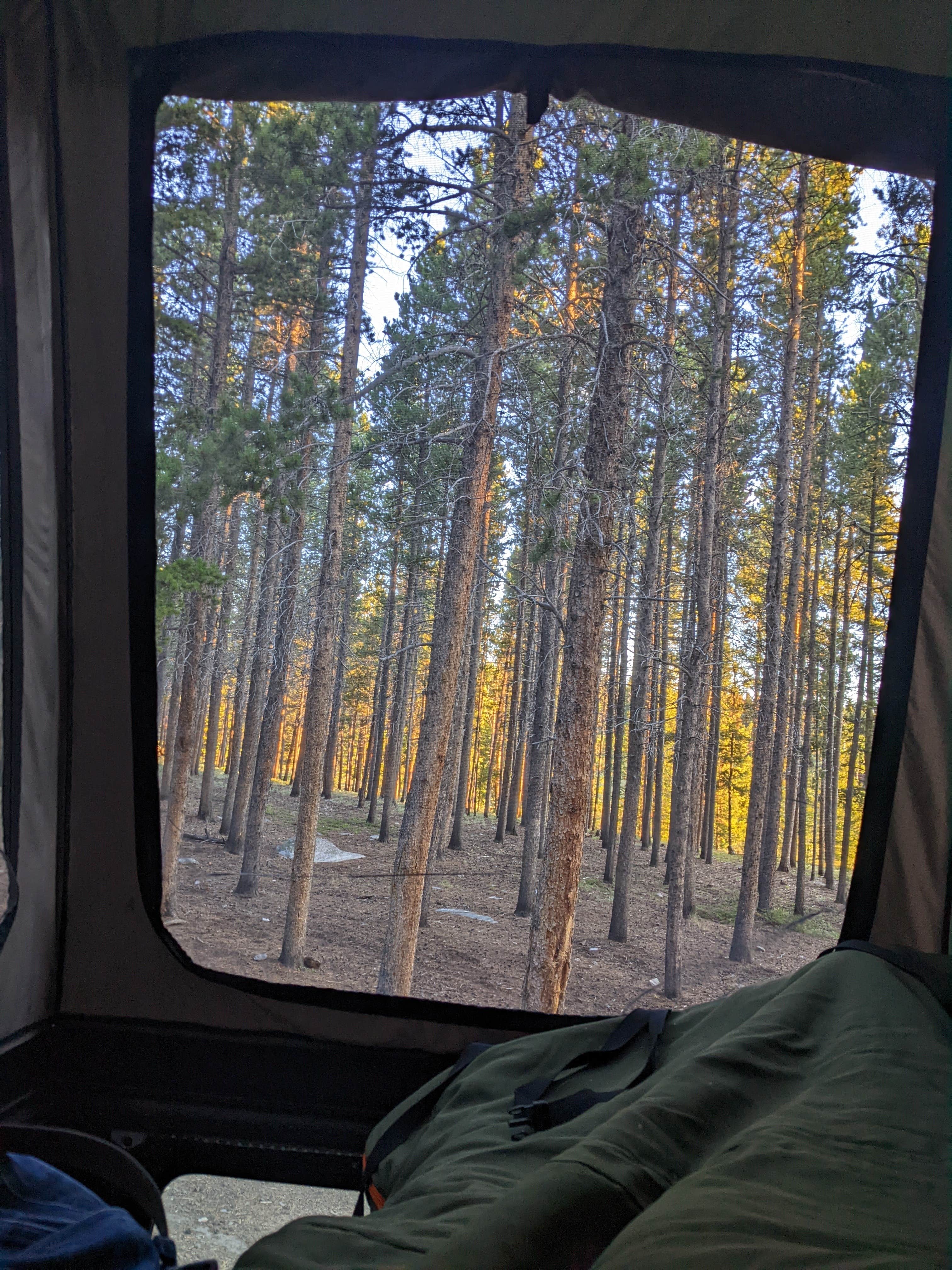 Nate's photo at Circle Road Dispersed Camping near Saddlestring, WY