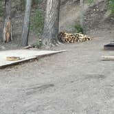 Review photo of Palisade Basecamp RV Resort by Lee D., August 19, 2022