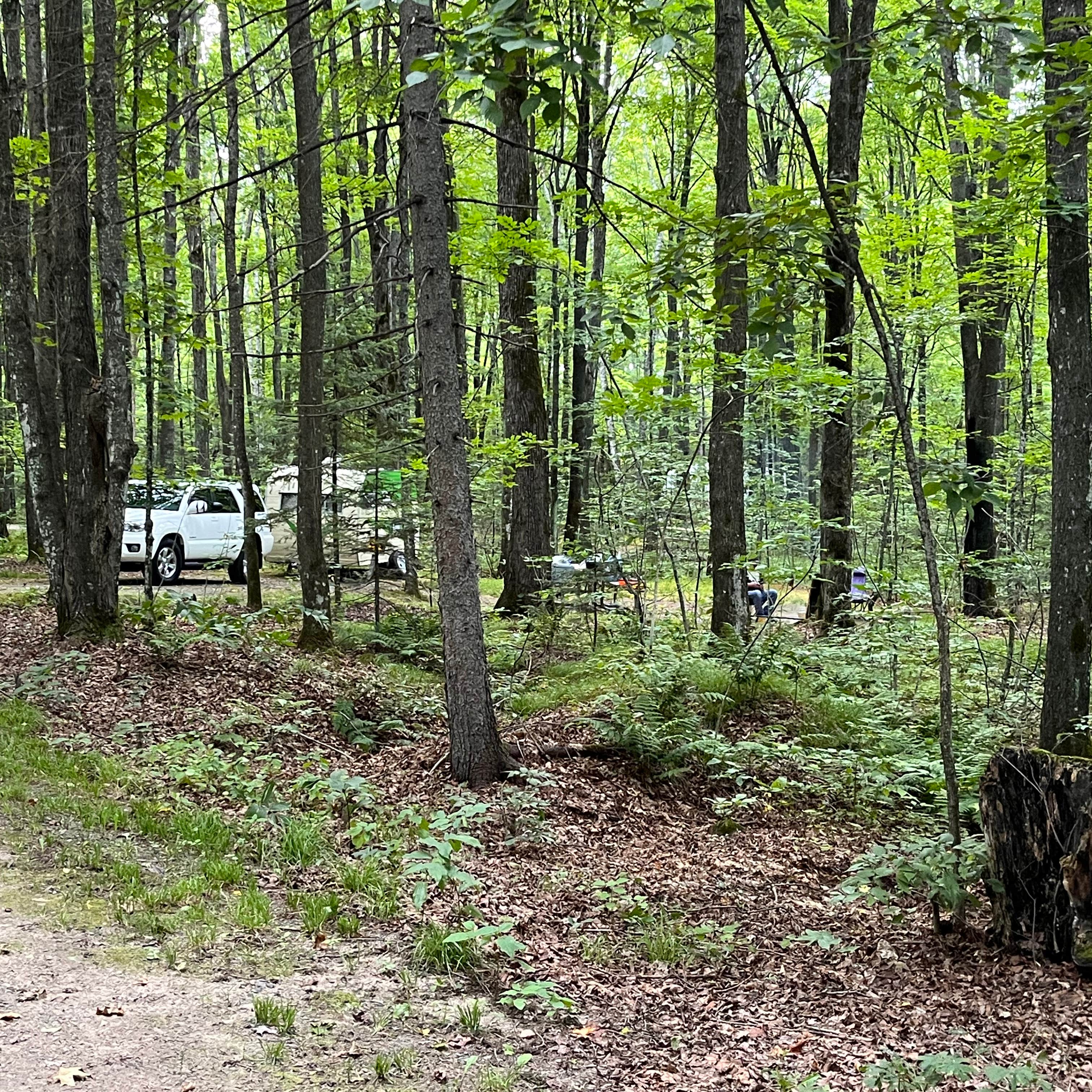 Richardson Lake Camping Laona, WI