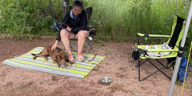 Camper submitted image from Cement Creek Campground