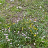 Review photo of Cement Creek Campground by Lisa H., August 19, 2022