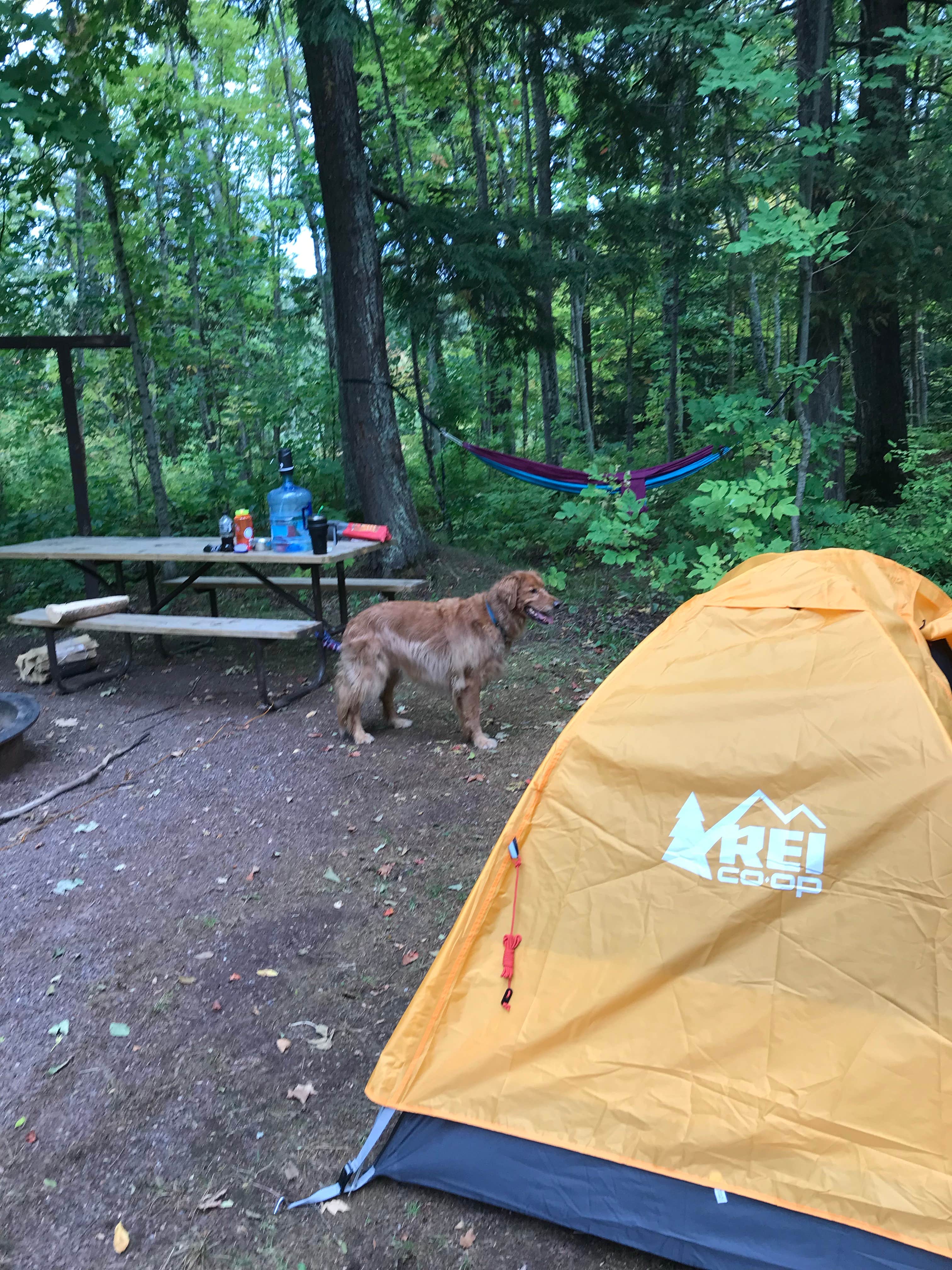 Lisa H.'s photo of camping with pets at Black River Harbor Campground near Ironwood, MI