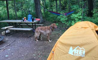 Lisa H.'s photo of camping with pets at Black River Harbor Campground near Upson, WI