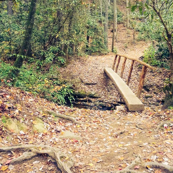 Cades Cove Campground Camping The Dyrt