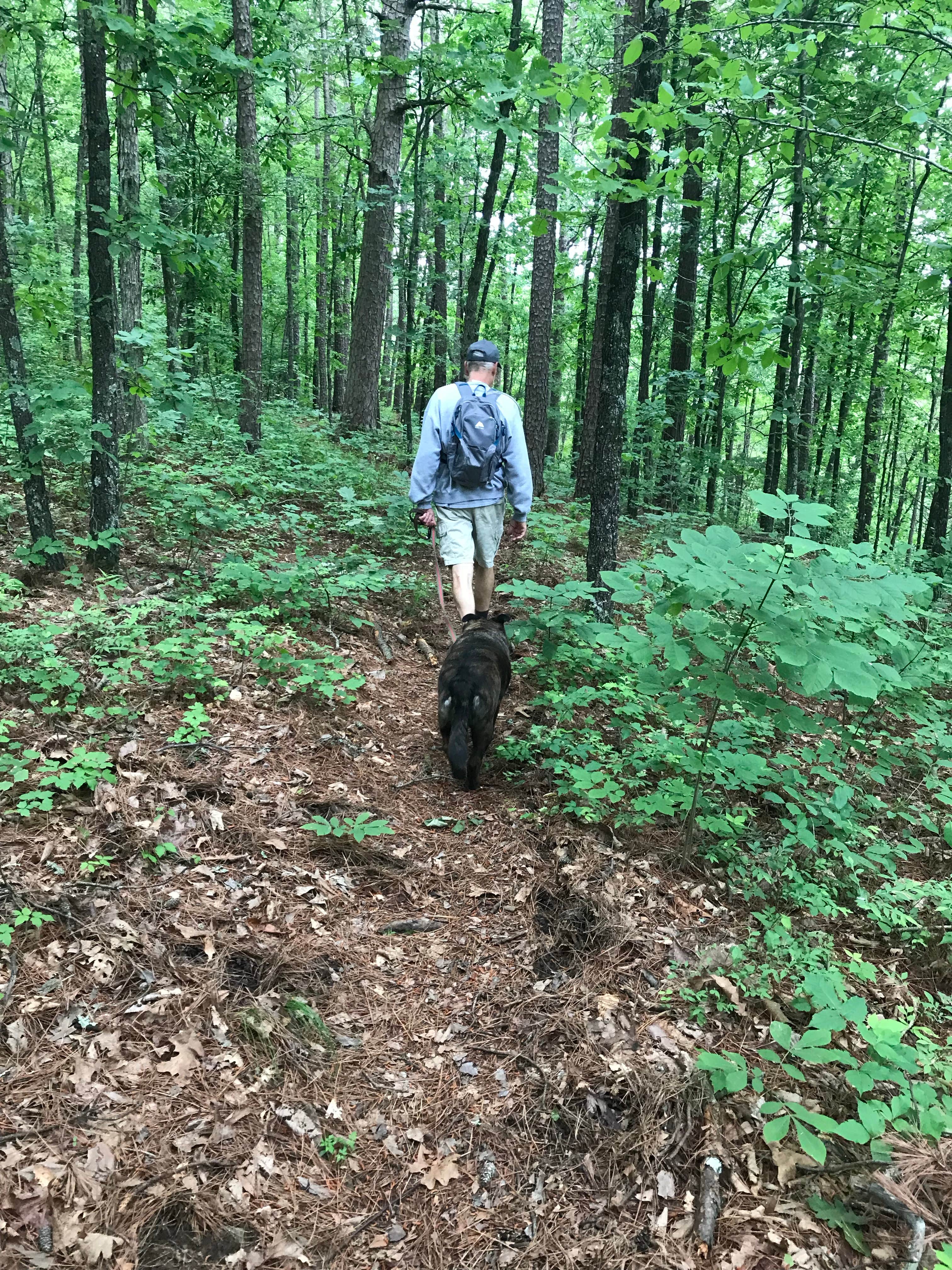Lisa H.'s photo of camping with pets at Redding Campground near Ozone, AR