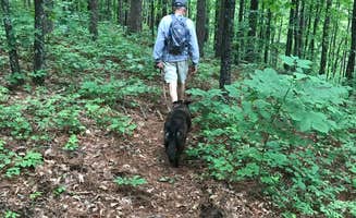 Lisa H.'s photo of camping with pets at Redding Campground near Ozone, AR