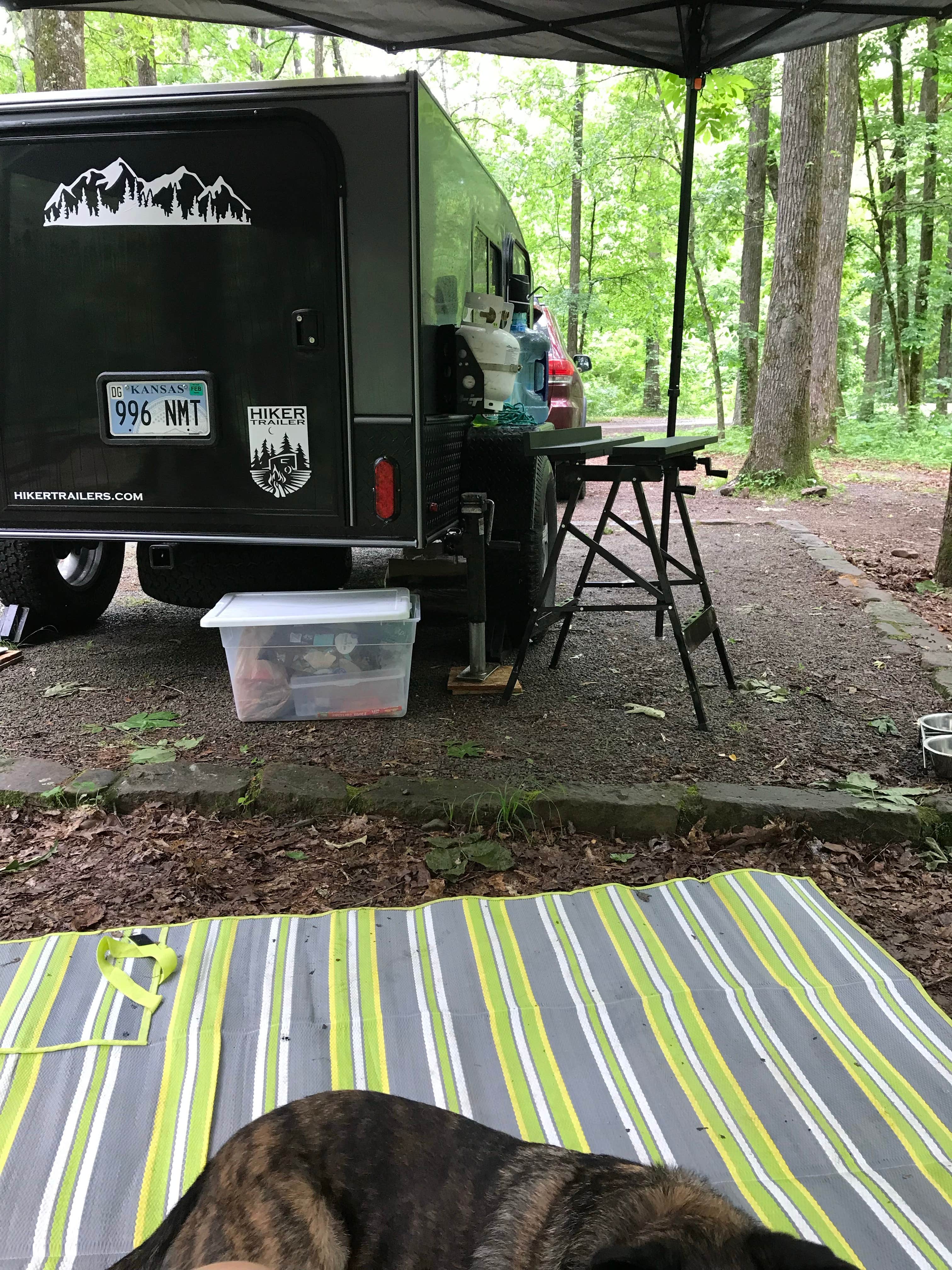 Camper-submitted photo at Redding Campground near St. Paul, AR