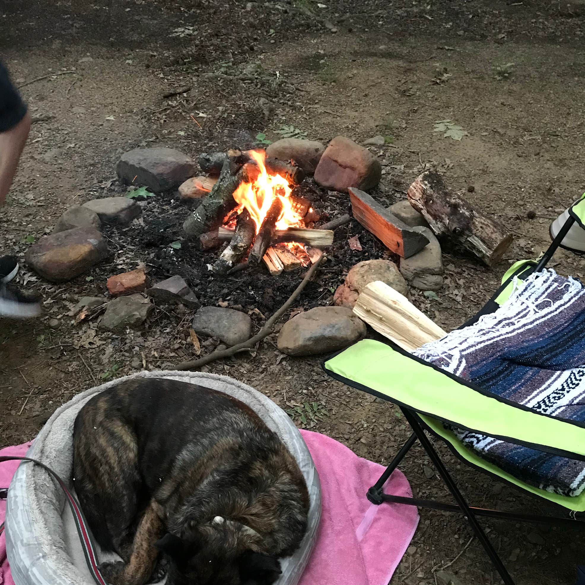 Redding Campground | Ozark, AR