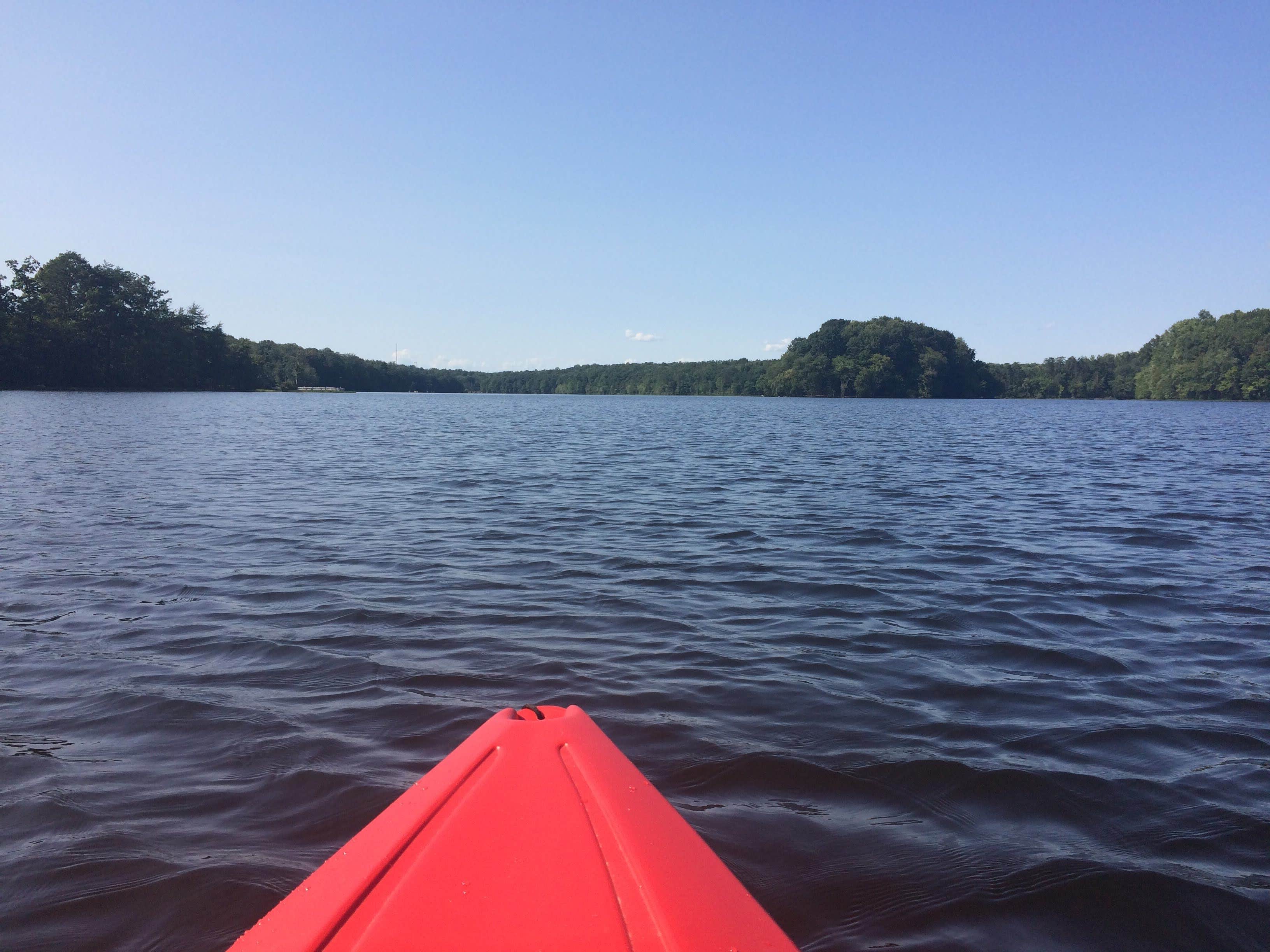 Camper submitted image from Burke Lake Park Campground - 3