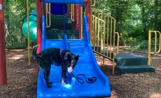 Phillip W.'s photo of camping with pets at Burke Lake Park Campground near Clinton, MD