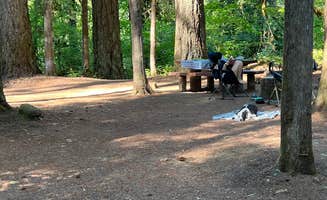 Dawn K.'s photo at Paradise Campground near Mckenzie Bridge, OR