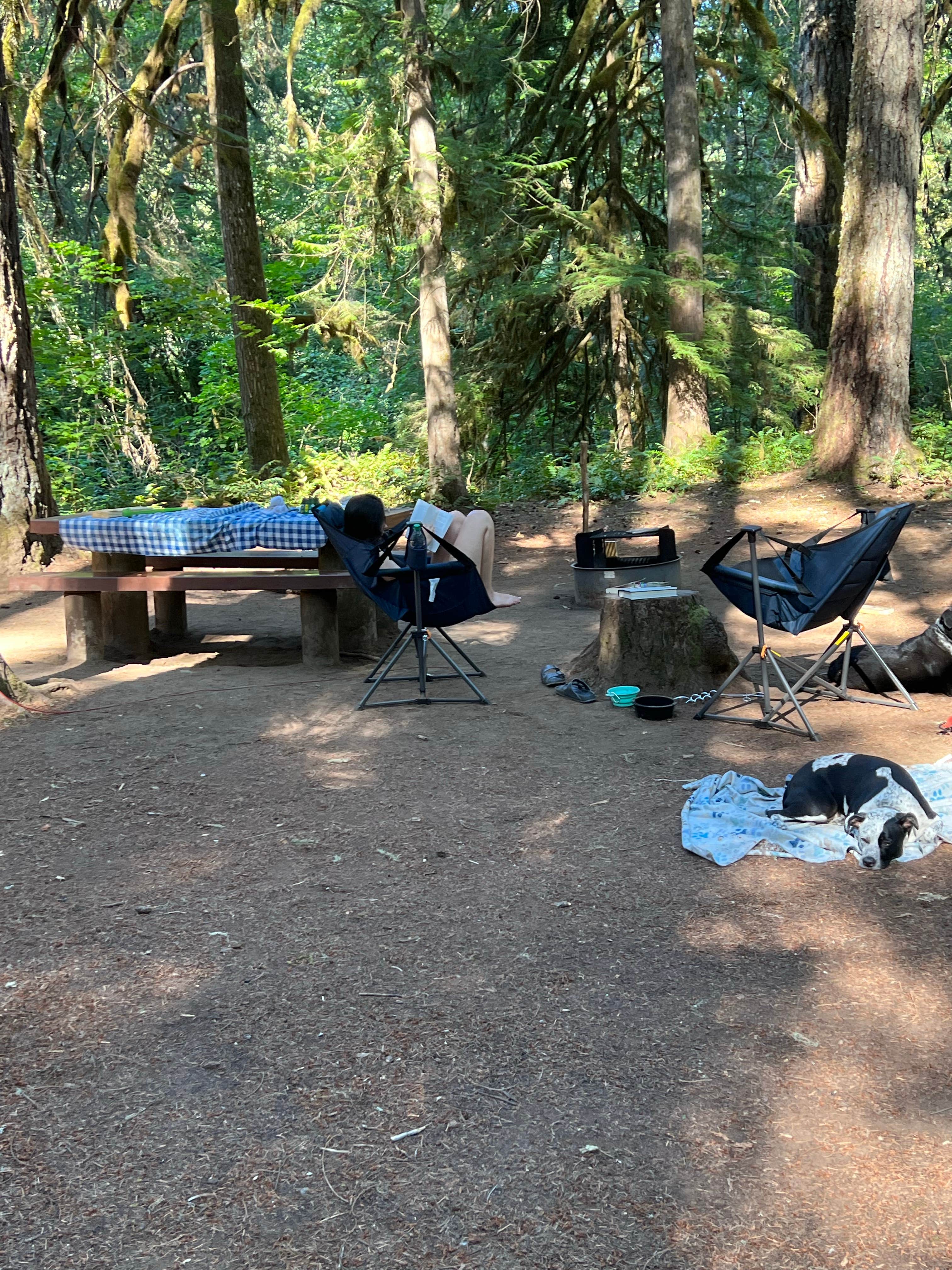 Dawn K.'s photo at Paradise Campground near Willamette National Forest