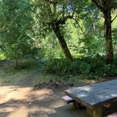 Review photo of Paradise Campground by Dawn K., August 20, 2022