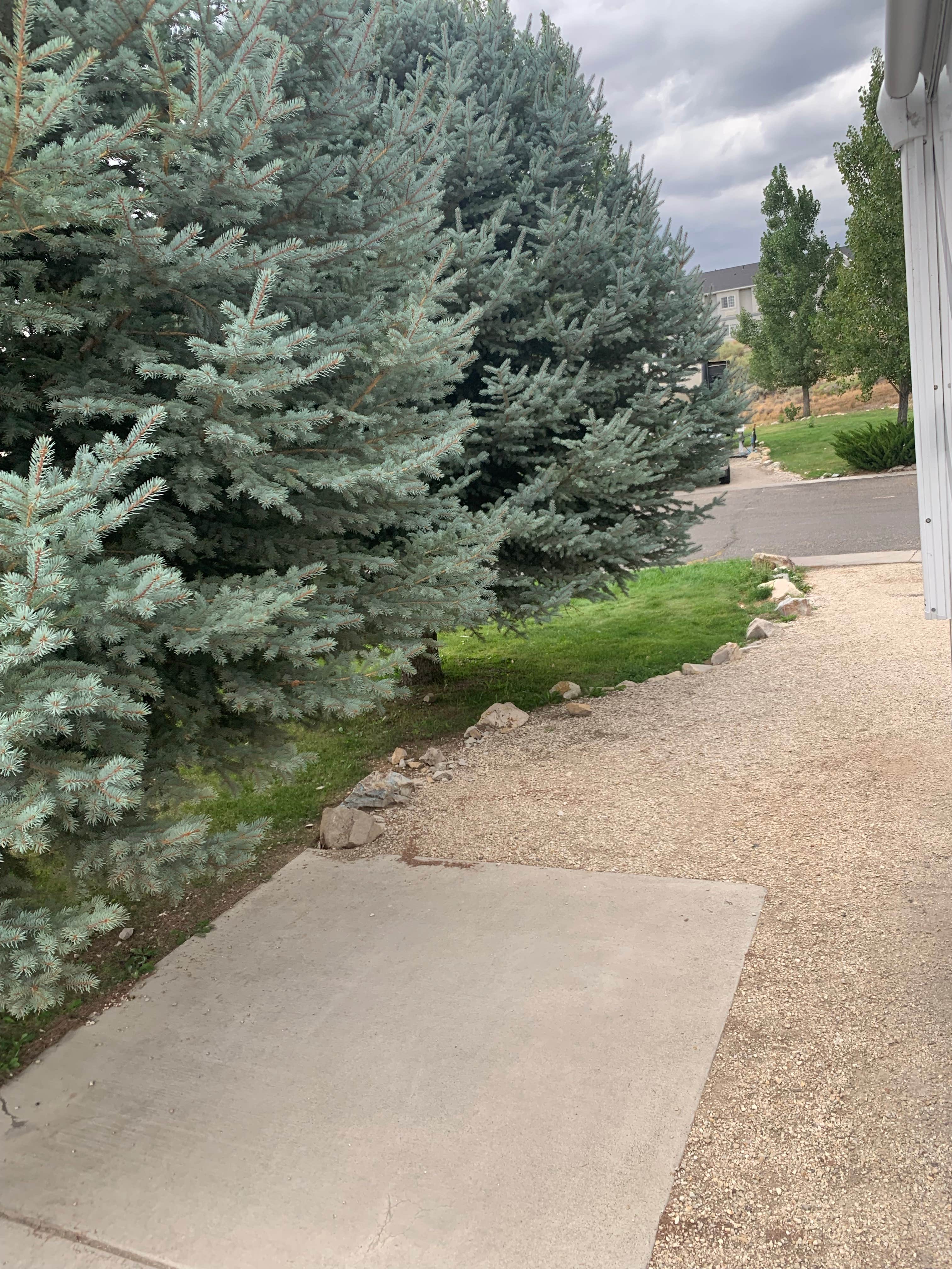 Camper-submitted photo at Iron Horse RV Resort near Spring Creek, NV