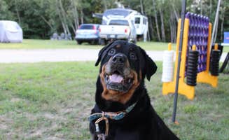 Samantha N.'s photo of camping with pets at Cole's Mine RV Resort and Campground near Rochester, NH